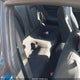 1FA6P8TH1K5129723 2019 Ford Mustang Ecoboost auction photo thumbnail 8