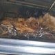 4YDT17F13GY934150 2016 Coleman Lantern auction photo thumbnail 16