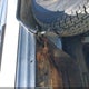 4YDT17F13GY934150 2016 Coleman Lantern auction photo thumbnail 18