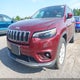 1C4PJMDNXKD238068 2019 Jeep Cherokee Limited 4X4 auction photo thumbnail 6