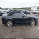 1ZVBP8FF9D5242869 2013 Ford Mustang Gt Premium auction photo thumbnail 13