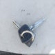 4TAVN52N1WZ093754 1998 Toyota Tacoma Base V6 auction photo thumbnail 11