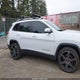 1C4PJMDN0KD320262 2019 Jeep Cherokee Limited 4X4 auction photo thumbnail 13