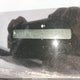 2T1BU4EE4CC804451 2012 Toyota Corolla Le auction photo thumbnail 9