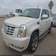 1GYFK668X8R119034 2008 Cadillac Escalade Esv Standard auction photo thumbnail 2
