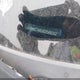 KMHCT4AE4DU548292 2013 Hyundai Accent Gls auction photo thumbnail 9