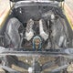 4D37H2H187487 1972 Buic Skylark auction photo thumbnail 10