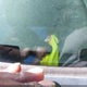 1FMDU34E2VZB17980 1997 Ford Explorer Eddie Bauer/Limited/Xl/Xlt auction photo thumbnail 9