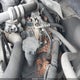 1GCEC19X77Z646614 2007 Chevrolet Silverado 1500 Work Truck auction photo thumbnail 12