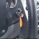 2B3KK53H17H617626 2007 Dodge Charger Rt auction photo thumbnail 11
