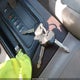 4T1BF18B5WU286279 1998 Toyota Avalon Xls auction photo thumbnail 11