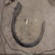 JN8BT3CB8PW463868 2023 Nissan Rogue Sl Intelligent Awd auction photo thumbnail 19