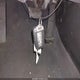 5NPDH4AE3CH120569 2012 Hyundai Elantra Limited auction photo thumbnail 11