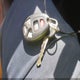 1G2ZG57B084109526 2008 Pontiac G6 auction photo thumbnail 11