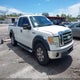 1FTRX12809FA39418 2009 Ford F-150 Stx/Xl/Xlt auction photo thumbnail 1