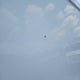 W1Y70BGY9NT088232 2022 Mercedes-Benz Sprinter 1500 auction photo thumbnail 8