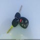 1GKS2EEF6ER112838 2014 GMC Yukon Denali auction photo thumbnail 11