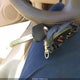 1HGCM56477A043491 2007 Honda Accord 2.4 Lx auction photo thumbnail 11