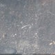 1GC4YREY3MF274406 2021 Chevrolet Silverado 2500Hd 4Wd Standard Bed High Country auction photo thumbnail 11