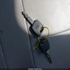 1FTRF17WXYNB17914 2000 Ford F-150 Work Series/Xl/Xlt auction photo thumbnail 11