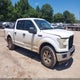 1FTEW1C80HKC75542 2017 Ford F-150 Xlt auction photo thumbnail 1