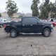1FTPW14V69FA90869 2009 Ford F-150 Fx4/King Ranch/Lariat/Platinum/Xl/Xlt auction photo thumbnail 13