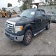 1FTPW14V69FA90869 2009 Ford F-150 Fx4/King Ranch/Lariat/Platinum/Xl/Xlt auction photo thumbnail 2