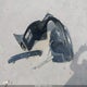19XZE4F58KE021465 2019 Honda Insight Ex auction photo thumbnail 12
