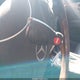 WDBUF56J56A861429 2006 Mercedes-Benz E 350 auction photo thumbnail 11