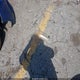 KNAFX4A61E5127217 2014 Kia Forte Lx auction photo thumbnail 12