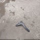 JS2YB413585107417 2008 Suzuki Sx4 Convenience/Touring auction photo thumbnail 12