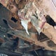 2B8GP44351R308080 2001 Dodge Grand Caravan Sport auction photo thumbnail 14