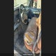 2FTHF25H6TCA64987 1996 Ford F250 auction photo thumbnail 7