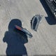 1C4PJLAB2FW657790 2015 Jeep Cherokee Sport auction photo thumbnail 12