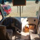 4UZAAHBV53CM25768 2003 Freightliner Chassis X Line Motor Home auction photo thumbnail 5