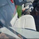 1FDBF8ZM6KKA87112 2019 Ford Transit-350 Cab auction photo thumbnail 7