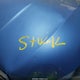 JF2SJADC0FH530982 2015 Subaru Forester 2.5I Premium auction photo thumbnail 10