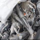 3KPC24A34JE020980 2018 Hyundai Accent Sel auction photo thumbnail 17