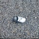 2FMTK4J80FBB50969 2015 Ford Edge Sel auction photo thumbnail 12