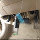 JTHBJ46G472003496 2007 Lexus Es 350 auction photo thumbnail 11
