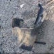 1C4PJMLB9KD301927 2019 Jeep Cherokee Latitude Plus 4X4 auction photo thumbnail 12