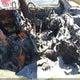 2C3CDXGJ0JH119631 2018 Dodge Charger R/T Scat Pack Rwd auction photo thumbnail 5
