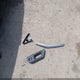 MAJ6S3GL0KC262274 2019 Ford Ecosport Se auction photo thumbnail 12