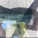 1FA6P8CF6H5275932 2017 Ford Mustang Gt auction photo thumbnail 17