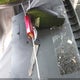 2A4RR5D11AR185805 2010 Chrysler Town & Country Touring auction photo thumbnail 11