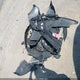 19UUA8F21CA038892 2012 Acura Tl 3.5 auction photo thumbnail 11