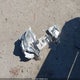 5TENX22N58Z560873 2008 Toyota Tacoma auction photo thumbnail 12