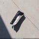 JT3HN86R710325307 2001 Toyota 4Runner Sr5 V6 auction photo thumbnail 12