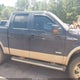 1FTFW1ET3DFA77644 2013 Ford F-150 Lariat auction photo thumbnail 13