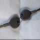 1J4FA59S02P703627 2002 Jeep Wrangler Sahara auction photo thumbnail 11